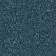 Shaw Floors SFA Fyc Tt Blue Net Twilight Golf (t) 434T_5E023