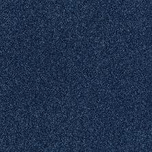 Shaw Floors SFA Fyc Tt Blue Net Sail Away (t) 436T_5E023