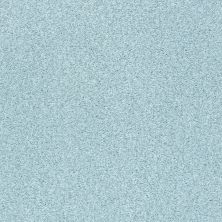 Shaw Floors SFA Fyc Tt Blue Net Winter Sky (t) 437T_5E023