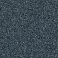 Shaw Floors SFA Fyc Tt Blue Net Washed Indigo (t) 440T_5E023