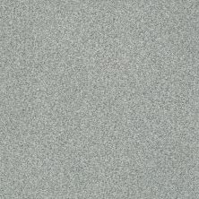 Shaw Floors SFA Fyc Tt Blue Net Restful Day (t) 512T_5E023