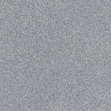 Shaw Floors SFA Fyc Tt Blue Net Misty Rain (t) 529T_5E023