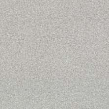 Shaw Floors SFA Fyc Tt Blue Net Dreamy (t) 537T_5E023