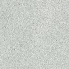 Shaw Floors SFA Fyc Tt Blue Net Morning Dew (t) 539T_5E023