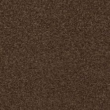 Shaw Floors SFA Fyc Tt Blue Net Chocolate Treat (t) 707T_5E023