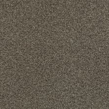 Shaw Floors SFA Fyc Tt Blue Net Summer House (t) 708T_5E023