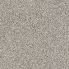 Shaw Floors SFA Fyc Tt Blue Net Back Patio (t) 724T_5E023