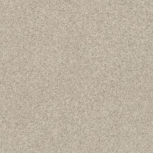 Shaw Floors SFA Fyc Tt Blue Net My Haven (t) 743T_5E023