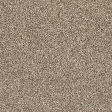 Shaw Floors SFA Fyc Tt Blue Net Camping Trip (t) 749T_5E023