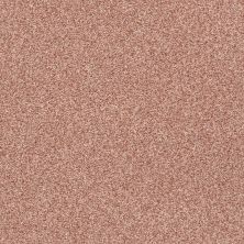 Shaw Floors SFA Fyc Tt Blue Net Open The Rose’ (t) 802T_5E023