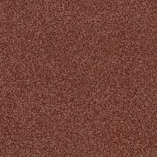 Shaw Floors SFA Fyc Tt Blue Net Serene Sunset (t) 804T_5E023