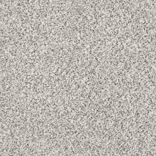 Shaw Floors SFA Fyc Ta I Dk Nat Net True Reality (a) 167A_5E024