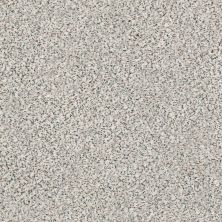 Shaw Floors SFA Fyc Ta I Dk Nat Net Slumber Party (a) 177A_5E024