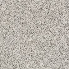 Shaw Floors SFA Fyc Ta I Dk Nat Net Great Mood (a) 189A_5E024