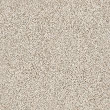 Shaw Floors SFA Fyc Ta I Dk Nat Net New Perspective (a) 193A_5E024