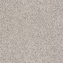 Shaw Floors SFA Fyc Ta II Dk Nat Net Lost Passport (a) 180A_5E025