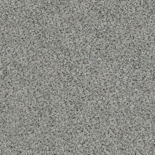 Shaw Floors SFA Fyc Ta II Dk Nat Net Lasting Moment (a) 560A_5E025