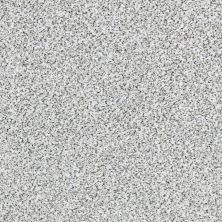 Shaw Floors SFA Fyc Ta Blue Dk Nat Net I’m Freezing (a) 187A_5E026