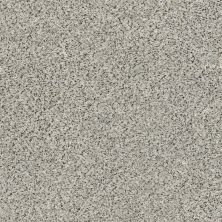 Shaw Floors SFA Fyc Ta Blue Dk Nat Net Online Date (a) 188A_5E026