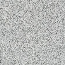 Shaw Floors SFA Fyc Ta Blue Dk Nat Net Great Mood (a) 189A_5E026