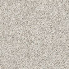 Shaw Floors SFA Fyc Ta Blue Dk Nat Net New Perspective (a) 193A_5E026