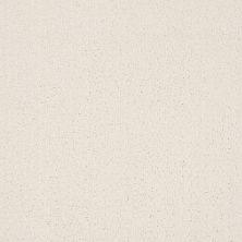 Shaw Floors Value Collections Warm Memories Net Clean Linen 122P_5E029