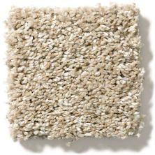 Shaw Floors Simply The Best All About It Biscotti 5E038_00100
