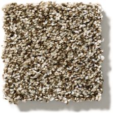 Shaw Floors Simply The Best All About It Honey Bear 5E038_00200