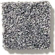Shaw Floors Simply The Best All About It Forever Denim 5E038_00520