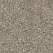 Shaw Floors Simply The Best All About It Wild Truffle 00710_5E038