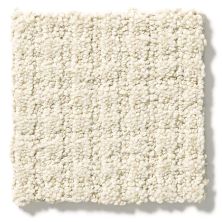 Shaw Floors Foundations Aerial Arts Canvas 5E040_00103