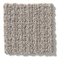 Shaw Floors Foundations Aerial Arts Dark Slate 5E040_00503
