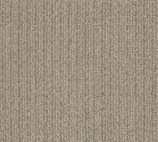 Shaw Floors Foundations Aerial Arts Artisan Taupe 00700_5E040