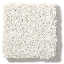 Shaw Floors Simply The Best After All I Eggshell 5E044_00120
