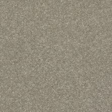 Shaw Floors After All I Rustic Taupe 00722_5E044