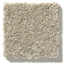 Shaw Floors Simply The Best After All I Sandstone 5E044_00723