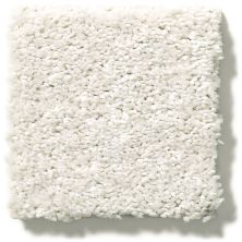 Shaw Floors Simply The Best After All II Sugar Cookie 5E045_00121