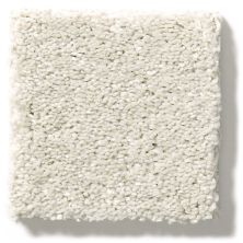 Shaw Floors Simply The Best After All II Candle Glow 5E045_00122
