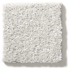 Shaw Floors Simply The Best After All II Dolphin 5E045_00520