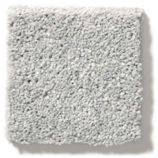 Shaw Floors Simply The Best After All II Anchor 5E045_00521