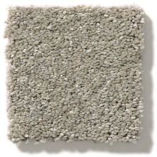 Shaw Floors Simply The Best After All II Rustic Taupe 5E045_00722