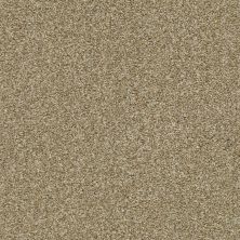 Shaw Floors Cabana Bay Tonal Net Dried Clay 00137_5E046