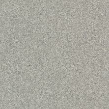 Shaw Floors Cabana Bay Tonal Net Fog 00540_5E046
