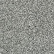 Shaw Floors Cabana Bay Tonal Net Stainless 00542_5E046