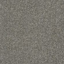 Shaw Floors Cabana Bay Tonal Net Walking Trail 00745_5E046