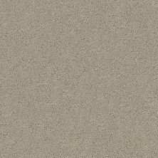 Shaw Floors Foundations Aerial View Net Burnished Clay 00701_5E050