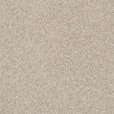 Shaw Floors Pet Perfect Plus Charmed Hues Net Antique White 00110_5E051