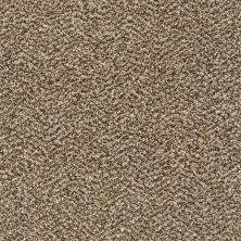 Shaw Floors Bellera Charmed Hues Net Honey Bear 00200_5E051
