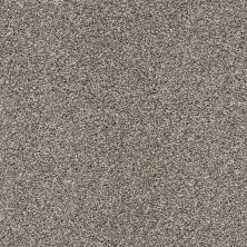 Shaw Floors Pet Perfect Plus Charmed Hues Net Bird Bath 00700_5E051
