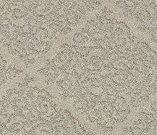 Shaw Floors Caress By Shaw Chateau Fare Net Clay 00700_5E056